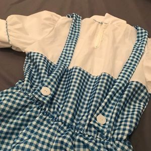 Dorothy costume